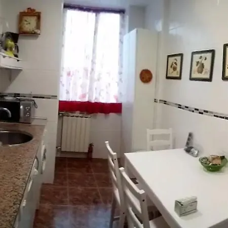 Las Golondrinas Para Una Persona Saragossa
